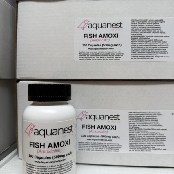 AN FISHMOX 500 100 count