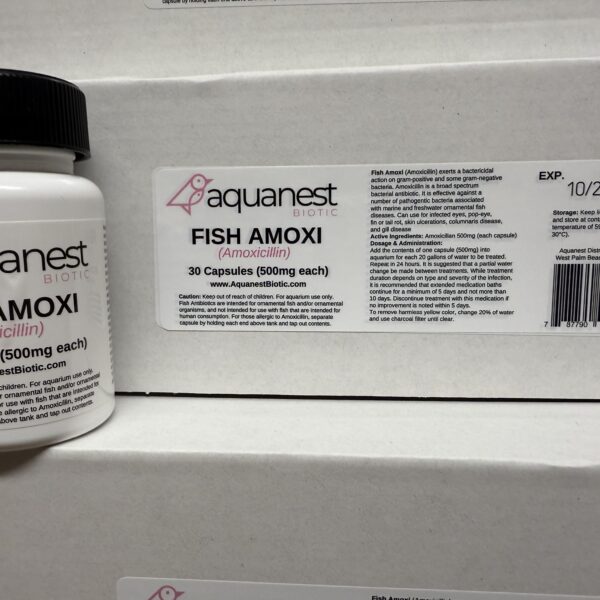 AN Fishmox 500 30 count